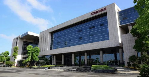 自爆違約擔保,加加食品的風雨飄搖緣起何處